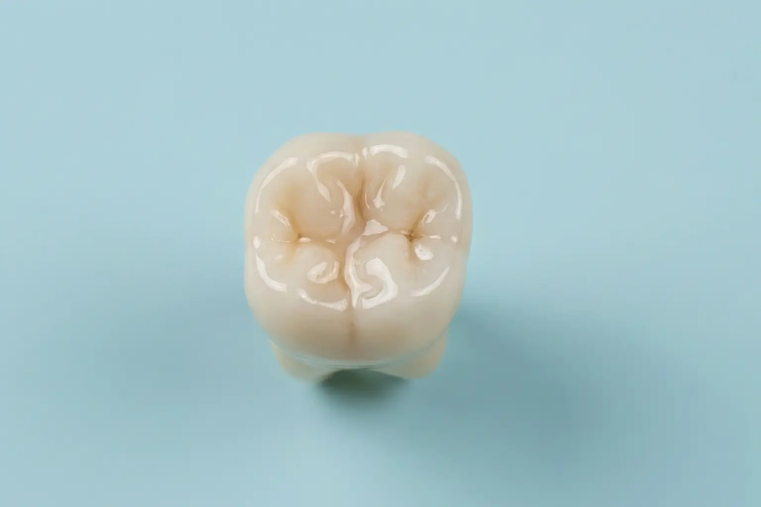 what are dental sealants
